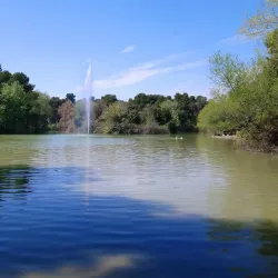Riserva Naturale Pineta Dannunziana - Pescara