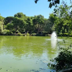 Riserva Naturale Pineta Dannunziana - Pescara