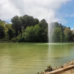 Riserva Naturale Pineta Dannunziana - Pescara