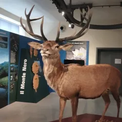 Museo Civico di Storia Naturale - Piacenza