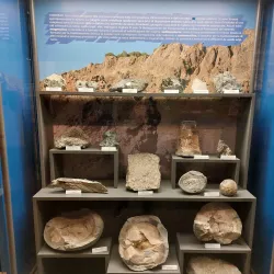 Museo Civico di Storia Naturale - Piacenza
