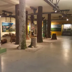 Museo Civico di Storia Naturale - Piacenza