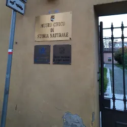Museo Civico di Storia Naturale - Piacenza