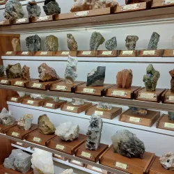 Museo Civico di Storia Naturale - Piacenza