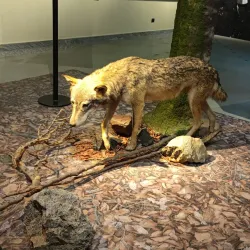 Museo Civico di Storia Naturale - Piacenza