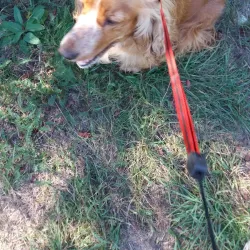 Parco della Galleana - Piacenza