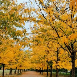 Parco della Galleana - Piacenza