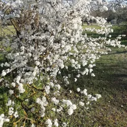 Parco della Galleana - Piacenza