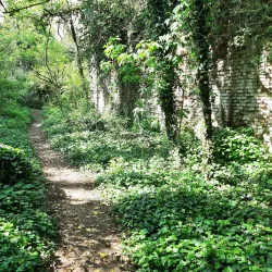 Parco della Galleana - Piacenza