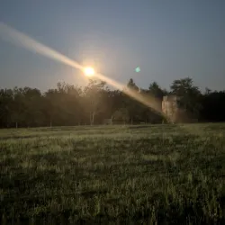 Parco della Galleana - Piacenza