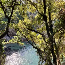 Bagni della Regina Giovanna - Piano di Sorrento