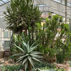 Botanical Garden of Pisa (Orto Botanico di Pisa) - Pisa