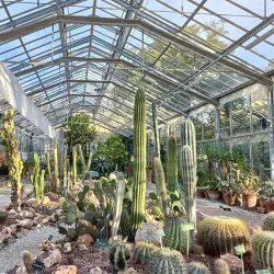 Botanical Garden of Pisa (Orto Botanico di Pisa) - Pisa