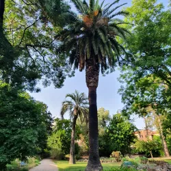 Botanical Garden of Pisa (Orto Botanico di Pisa) - Pisa