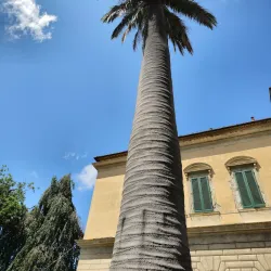 Botanical Garden of Pisa (Orto Botanico di Pisa) - Pisa