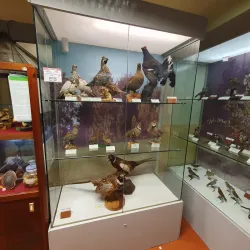 Museo Civico di Pisogne - Pisogne