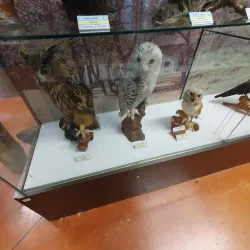 Museo Civico di Pisogne - Pisogne