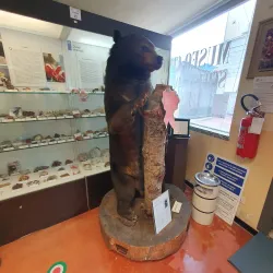 Museo Civico di Pisogne - Pisogne