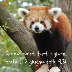 Pistoia Zoo - Pistoia