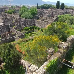 Garden of the Fugitives - Pompeii