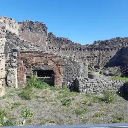 Garden of the Fugitives - Pompeii