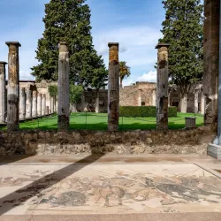House of the Faun - Pompeii