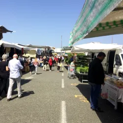 Mercato di Pontedera - Pontedera