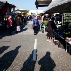 Mercato di Pontedera - Pontedera