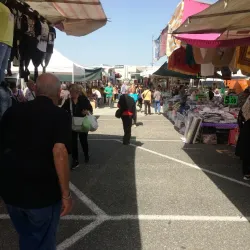 Mercato di Pontedera - Pontedera