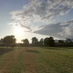 Parco dei Salici - Pontedera