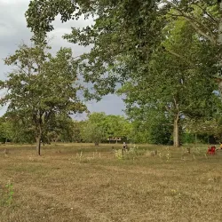 Parco Fluviale di Pontedera - Pontedera