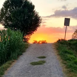 Parco Fluviale di Pontedera - Pontedera