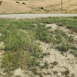 Parco Fluviale di Pontedera - Pontedera