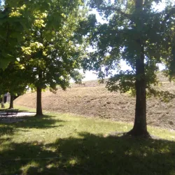 Villa Pacchiani - Pontedera