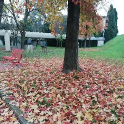 Villa Pacchiani - Pontedera