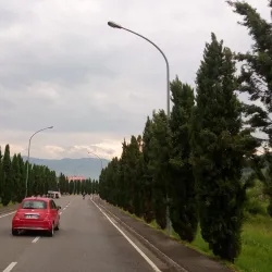 Lucca City (Nearby) - Porcari