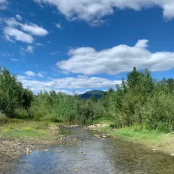 Parco Fluviale del Serchio - Porcari