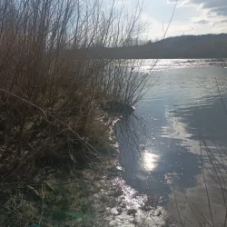 Parco Fluviale del Serchio - Porcari