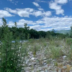 Parco Fluviale del Serchio - Porcari