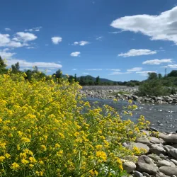 Parco Fluviale del Serchio - Porcari