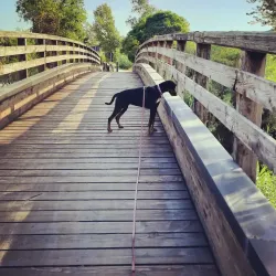 Parco Fluviale del Serchio - Porcari