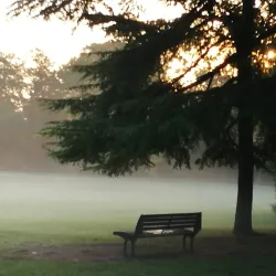 Pordenone Festival - Pordenone