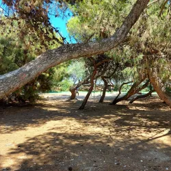 Lungomare di Porto Potenza Picena - Porto Potenza Picena
