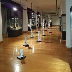 Museo Archeologico di Potenza Picena - Porto Potenza Picena