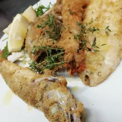 Porto Potenza Picena Beach - Porto Potenza Picena