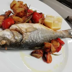 Porto Potenza Picena Beach - Porto Potenza Picena