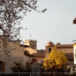 Villa Bonaparte - Porto San Giorgio