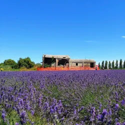 Birdwatching Sites - Porto Viro