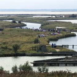 Cycling Routes in the Po Delta - Porto Viro