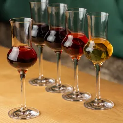 Local Cuisine Experiences - Porto Viro